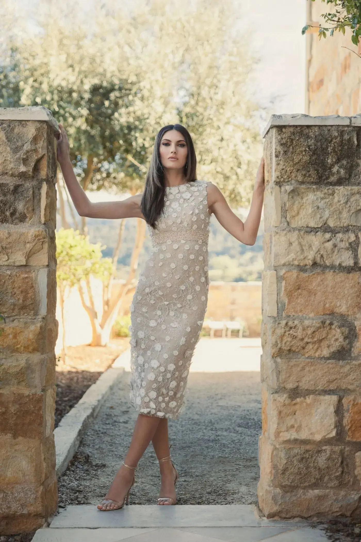 תמונת מוצר 6